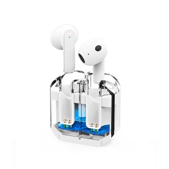 ��Ŭ ũ����Ż �������� TWS �̾���