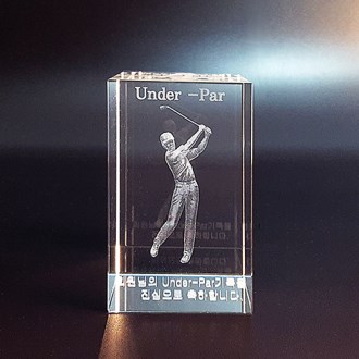 ���� HN 3310